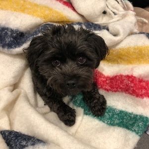 Meet your Posher, Natasha